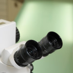 Microscope for close up work